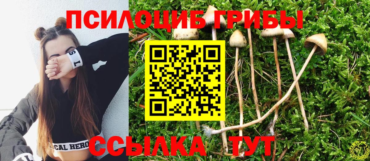 Галлюциногенные грибы Cubensis  Вход с VPN  Бутурлиновка 